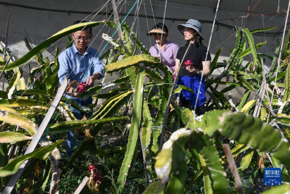 白菜送彩金59网站大全